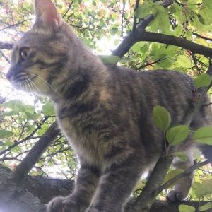 Meet your Posher, Jody